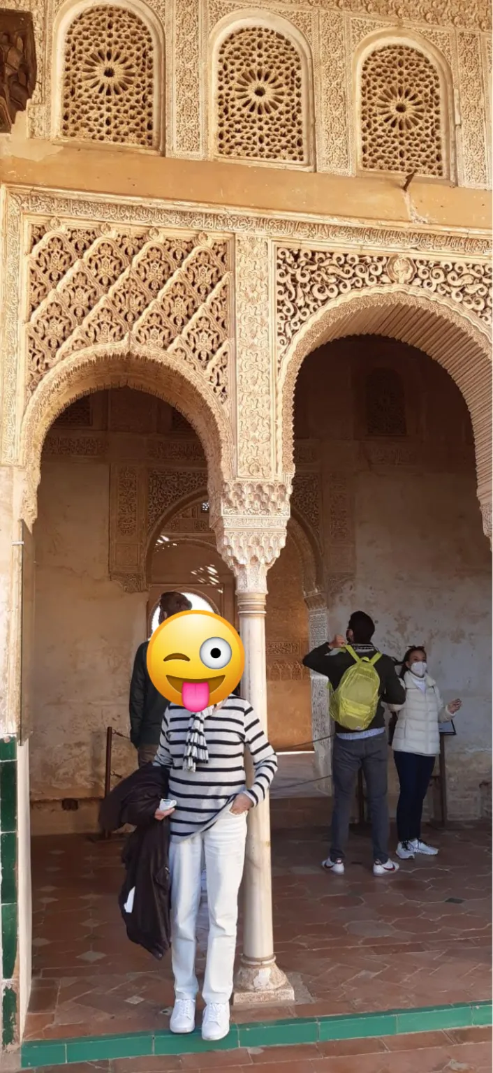 Visita a la Alhambra de Granada, explorando los impresionantes detalles arquitectónicos del palacio nazarí.