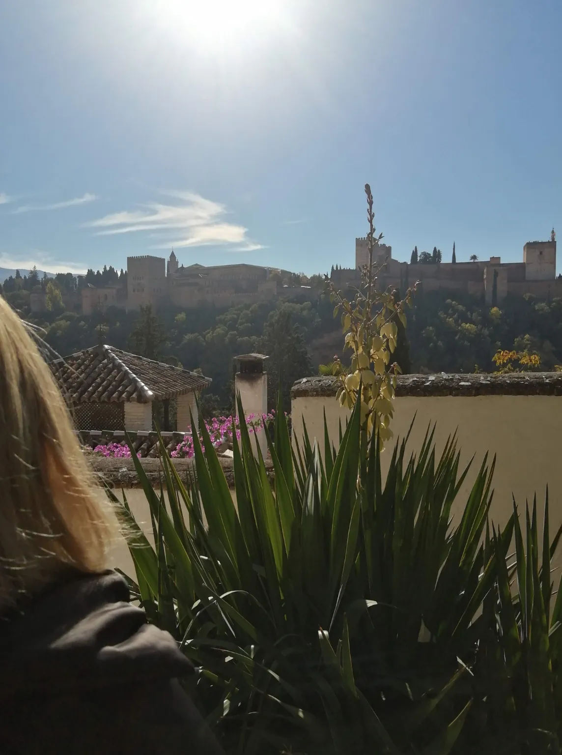 Vistas de la Alhambra de Granada desde un mirador con vegetación en primer plano.